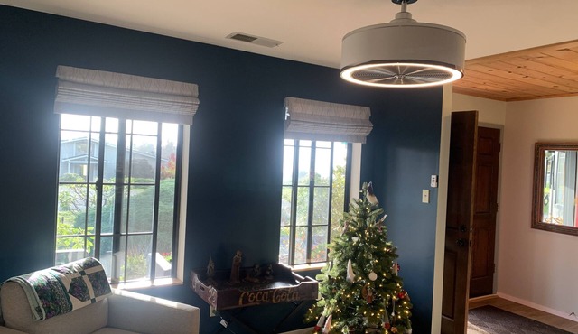 Private Ocean View Irish Beach Home - pet friendly