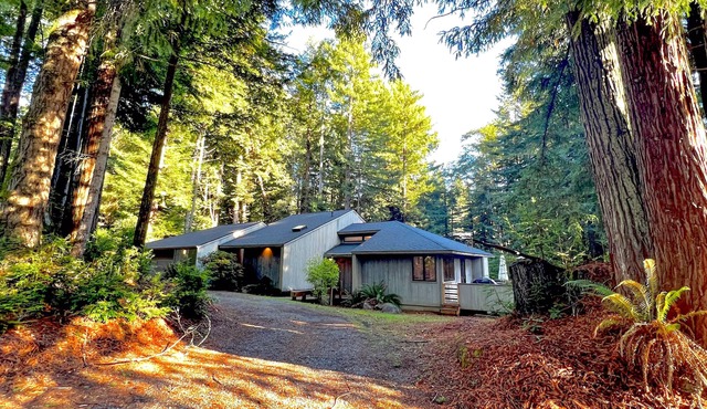 Redwood retreat with large deck, grill, AC, & art collection - dog-friendly