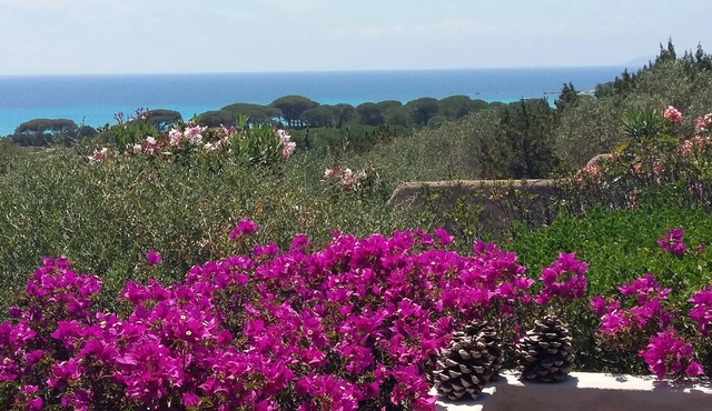 Renovated beach housePalombaggia on foot180° sea view-protected site