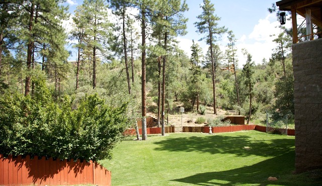 Secluded on 9 acres Beautiful 6,000+ Sq. Ft. Cabin, 6 Bd 4.25 Bath