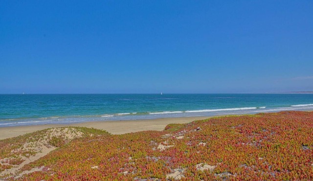 Steps from the Beach and Restaurants with 2 Masterbedrooms