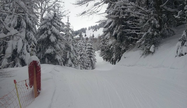 Studio in the mountains at the foot of the ski slopes