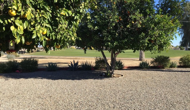 SUN CITY AZ, 17th HOLE OF GOLF CRS LOCATION, MIN. 30+ NT STAYS