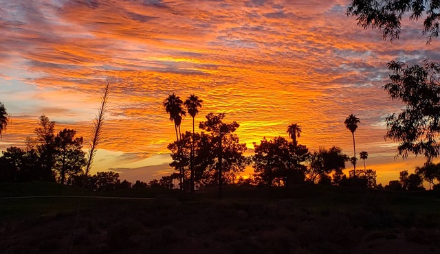 Superstition Lakes Condo on Golf Course - Large Patio with Hole #18 Views!