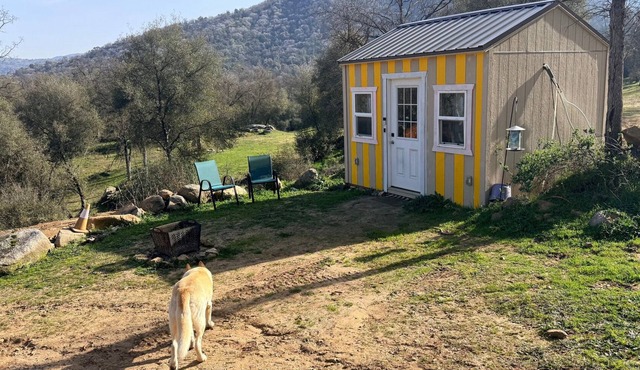 The Birdhouse Tiny Shabin Cabin