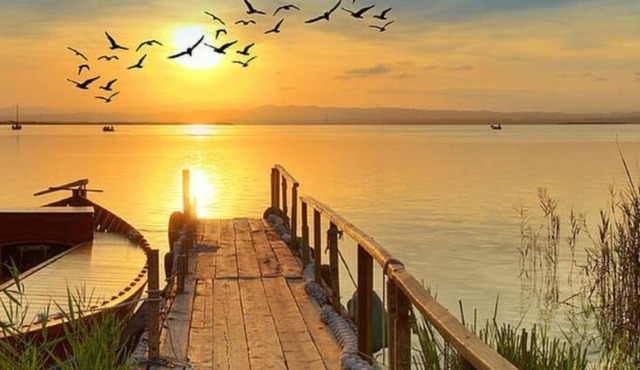 Unlimited Adventure Awaits You! San Diego Fun, Fun
