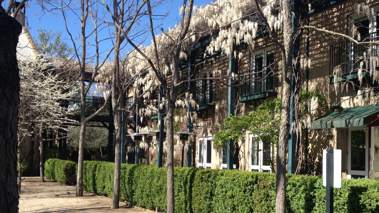 Photo of Buildings in St. Helena