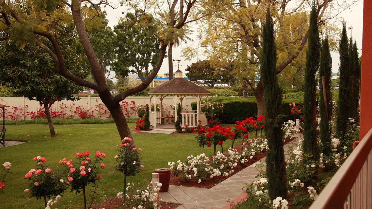 Photo of Buildings in Guasti