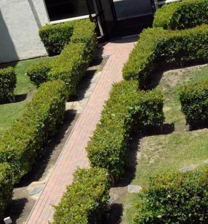 Photo of Buildings in Dana Point