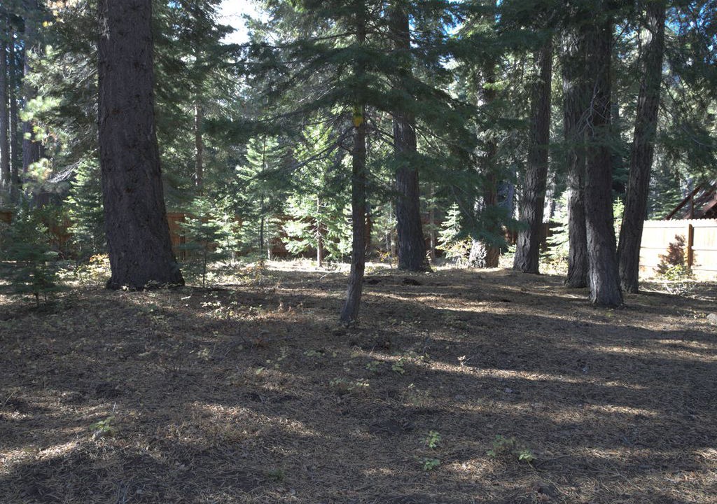 Photo of Buildings in Tahoe Pines