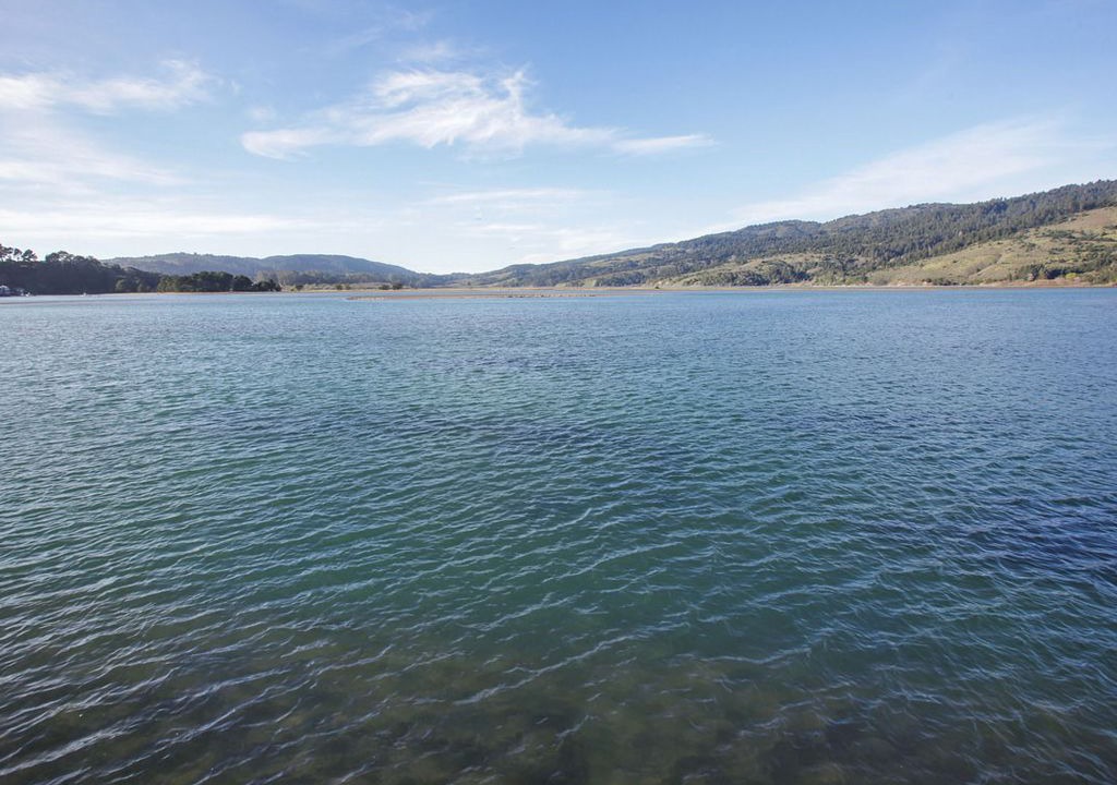 Photo of Outdoor in Stinson Beach