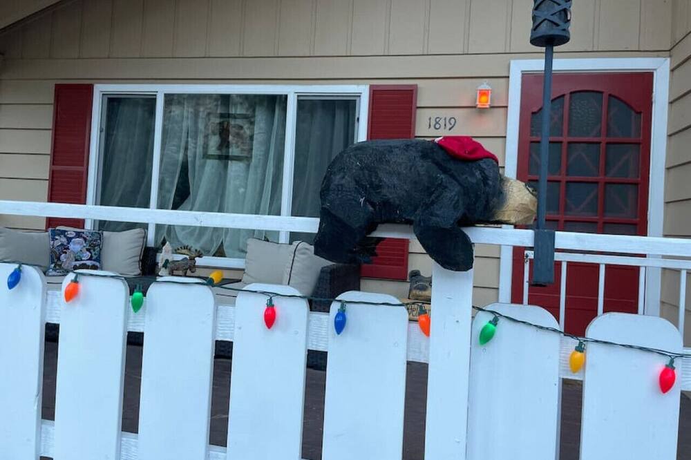 Photo of Others in Wrightwood