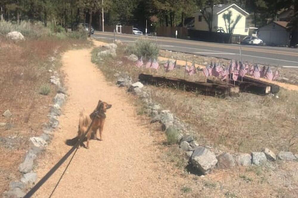 Photo of Others in Wrightwood