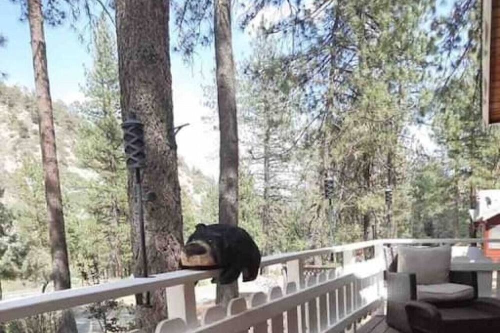 Photo of Others in Wrightwood
