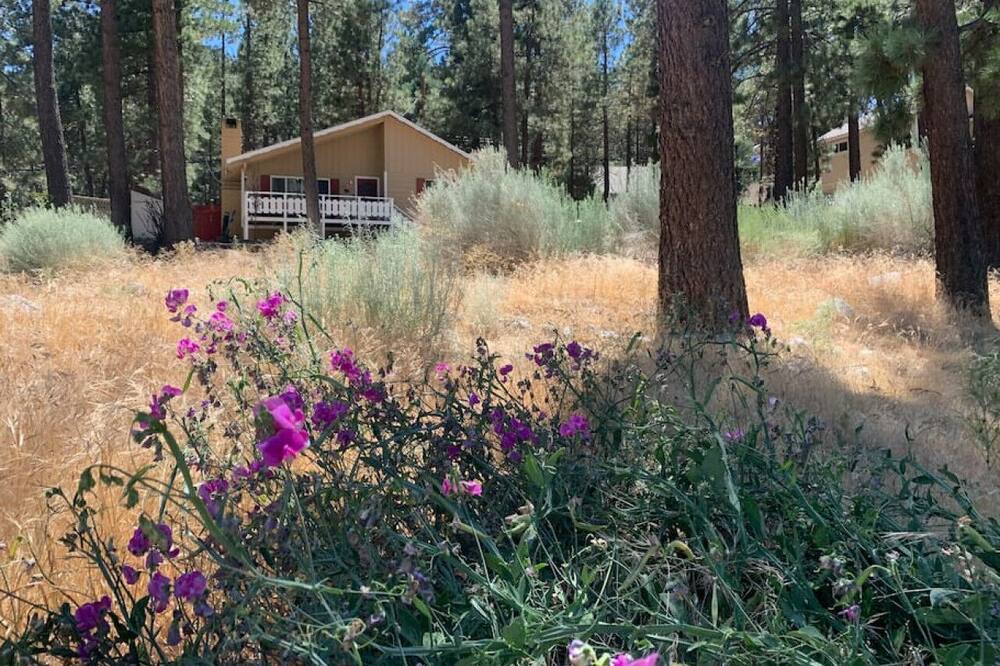 Photo of Outdoor in Wrightwood