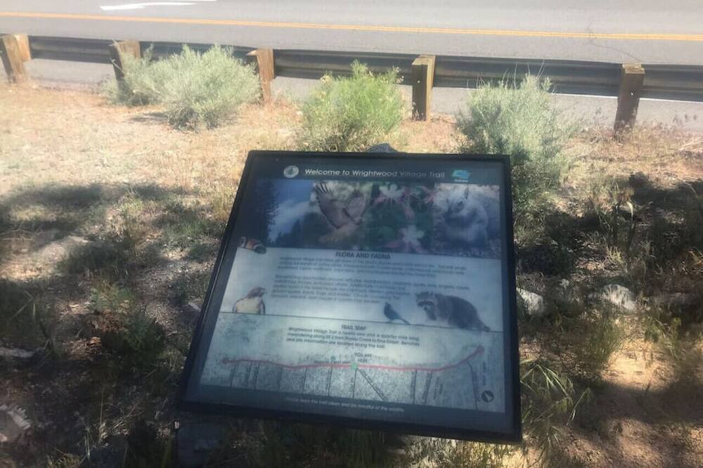 Photo of Others in Wrightwood