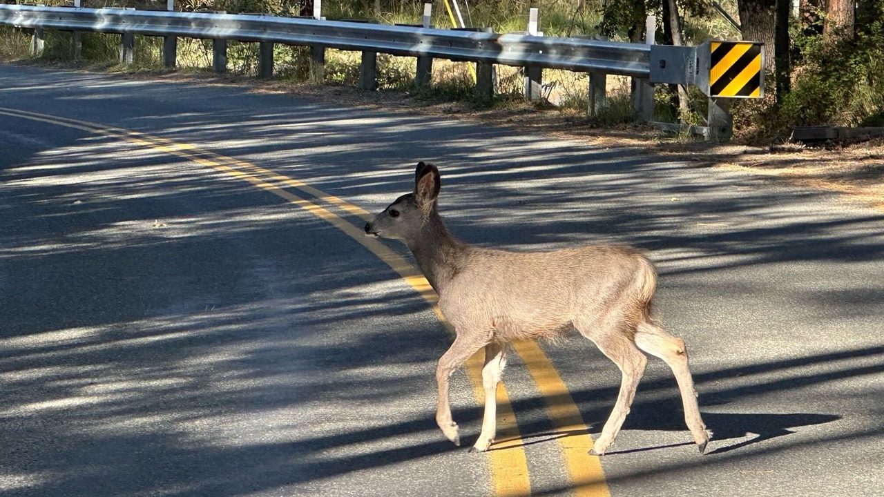 Photo of Others in Groom Creek