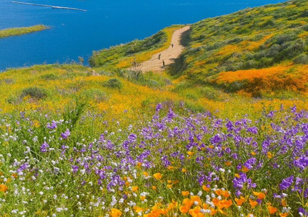 Photo of Outdoor in Hemet
