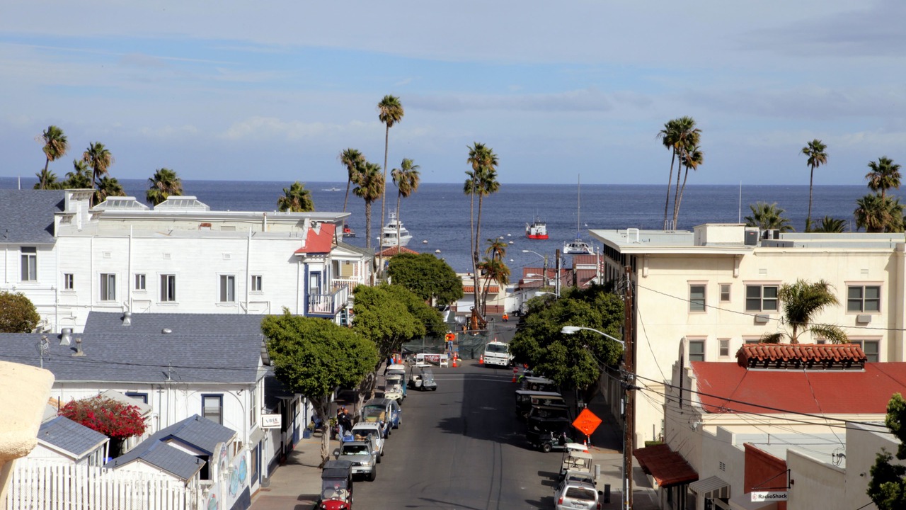 Photo of Others in Avalon