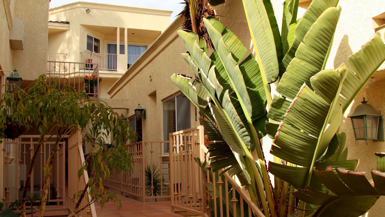 Photo of Outdoor in Avalon