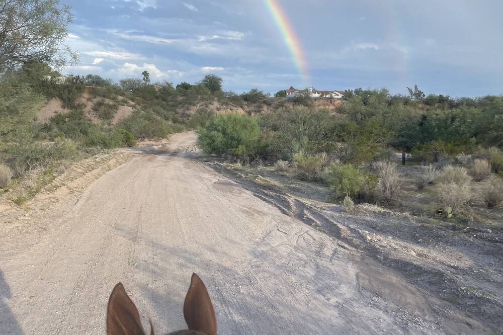 Photo of Outdoor in Wickenburg
