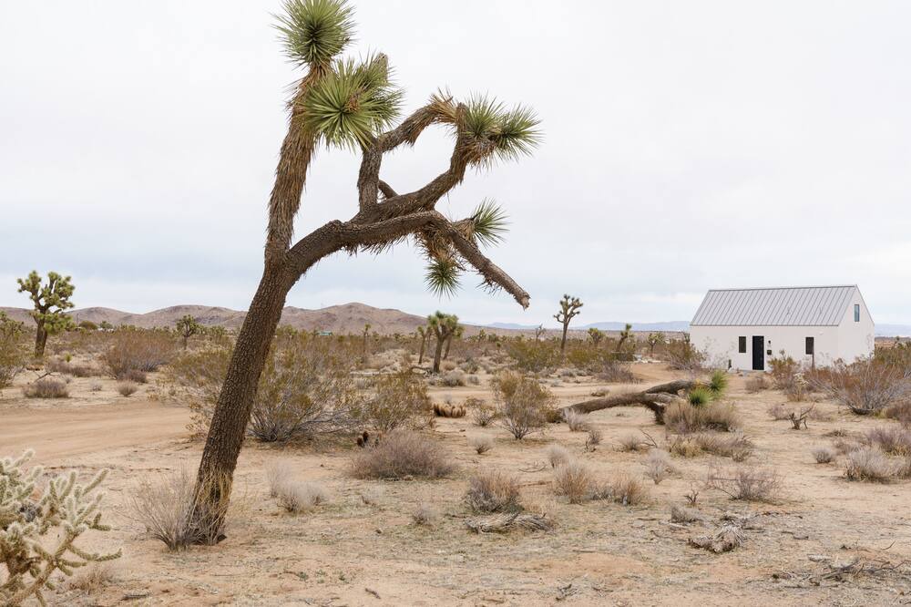 Photo of Others in Yucca Valley