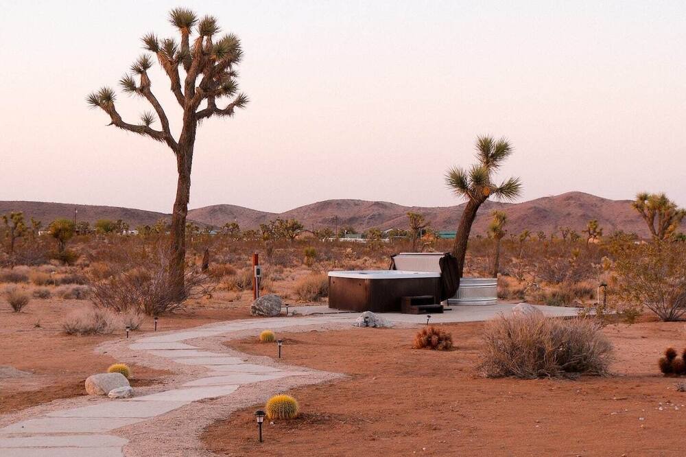Photo of Others in Yucca Valley