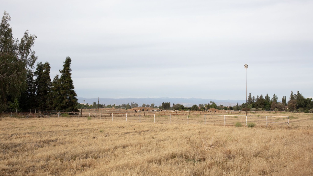 Photo of Others in Clovis