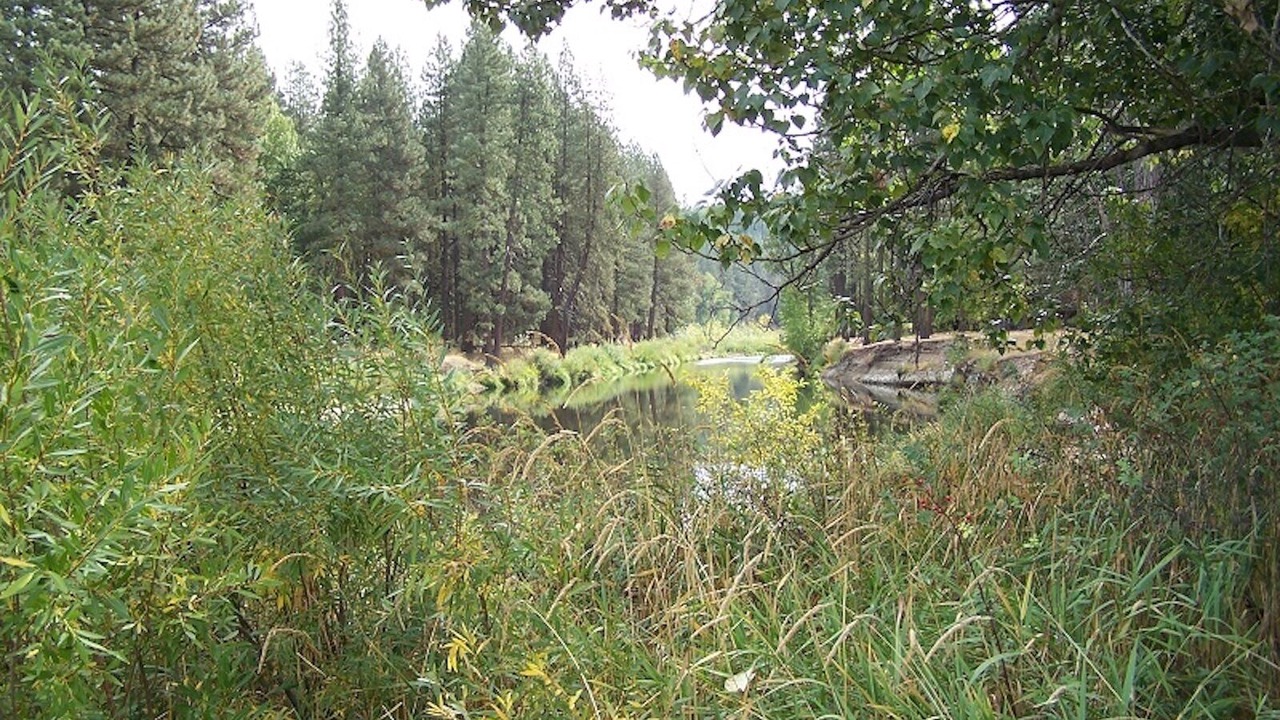 Photo of Others in Plumas Eureka Estates