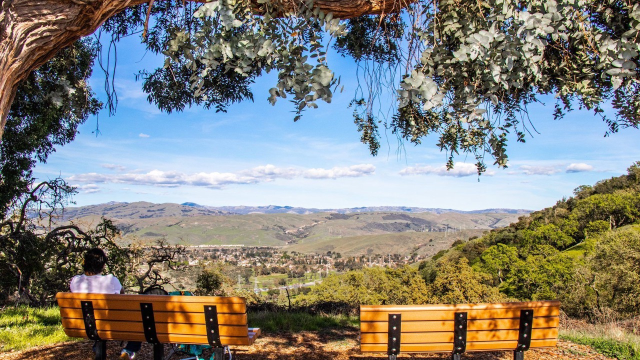 Photo of Outdoor in Mountain View