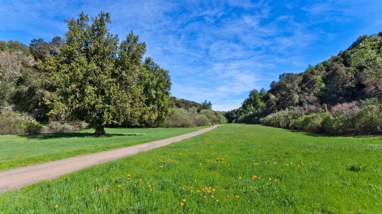 Photo of Others in Mountain View