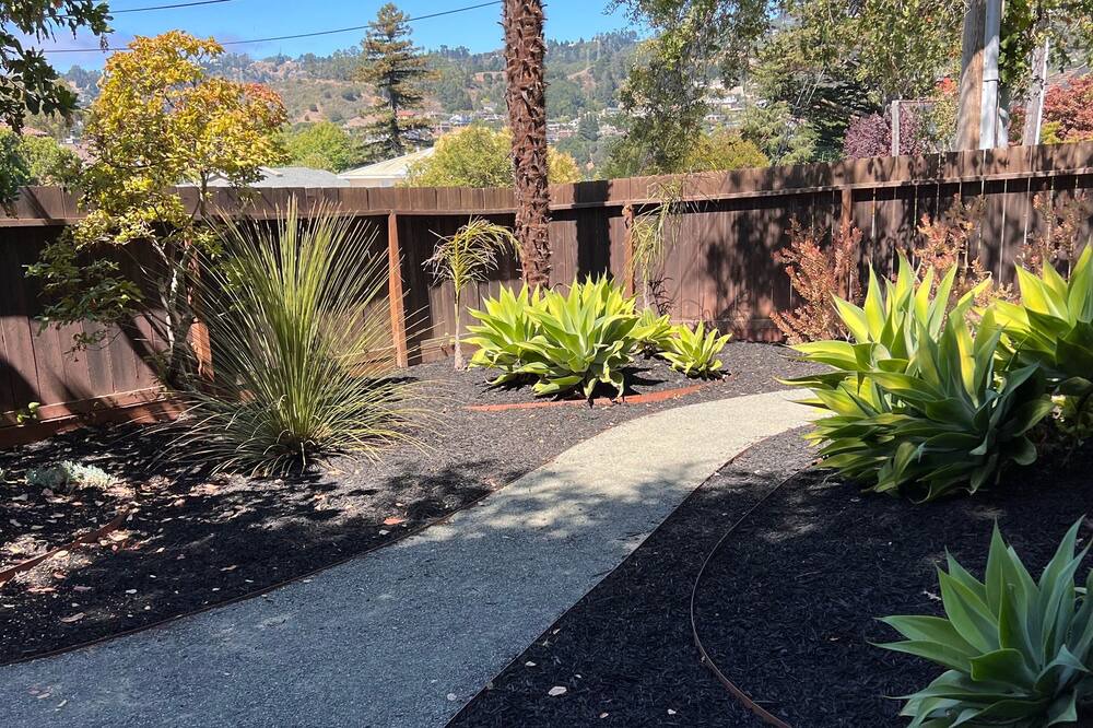 Photo of Outdoor in Upper Rockridge
