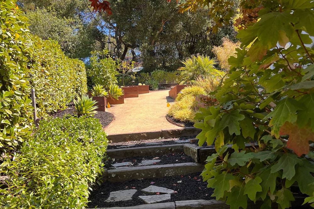 Photo of Outdoor in Upper Rockridge