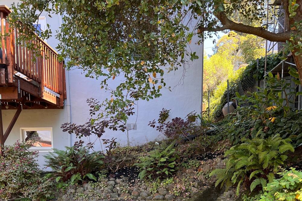 Photo of Outdoor in Upper Rockridge