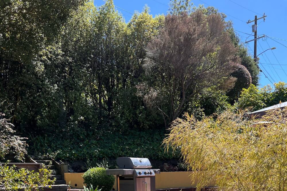 Photo of Outdoor in Upper Rockridge
