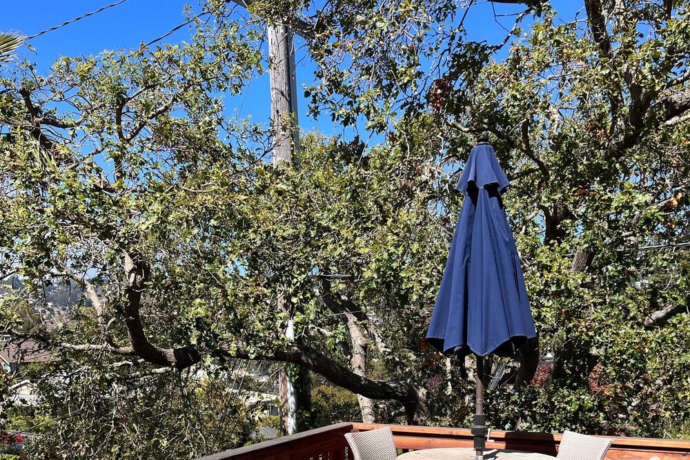 Photo of Outdoor in Upper Rockridge