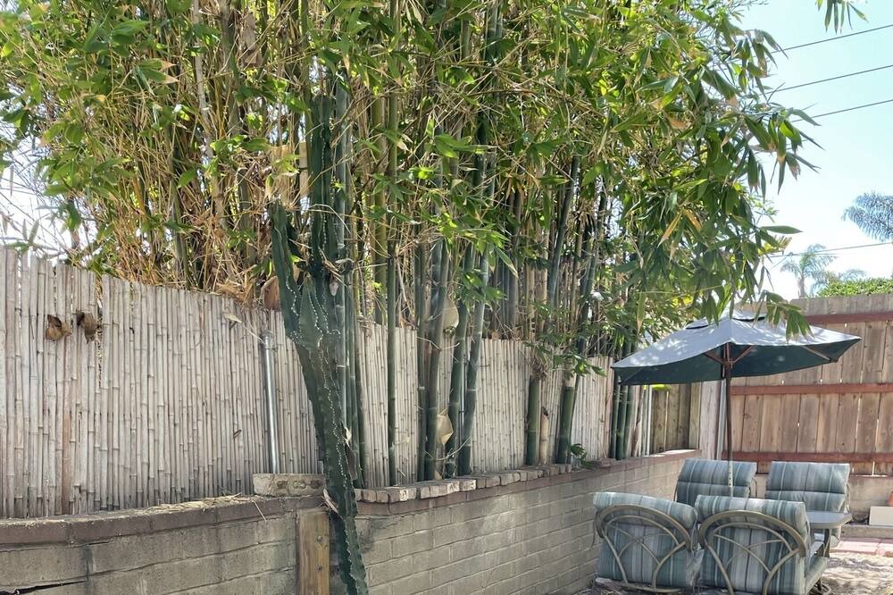 Photo of Patio Balcony in Roseville - Fleet Ridge