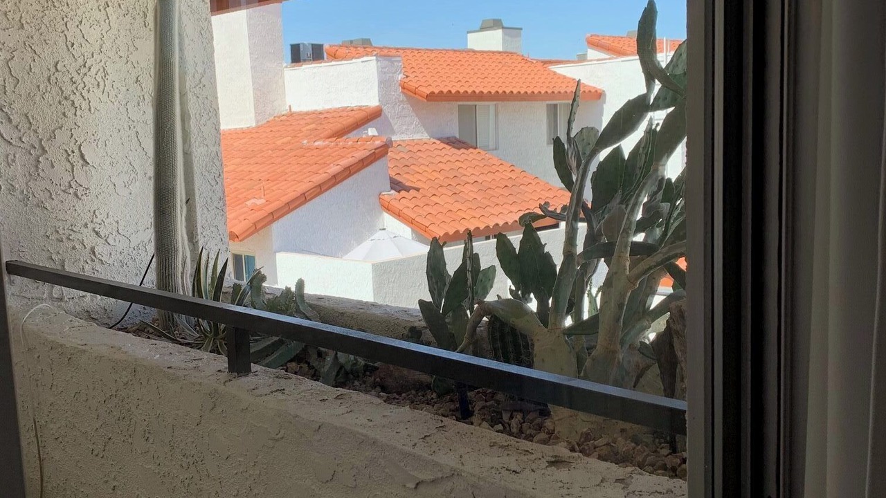 Photo of Outdoor in Baristo