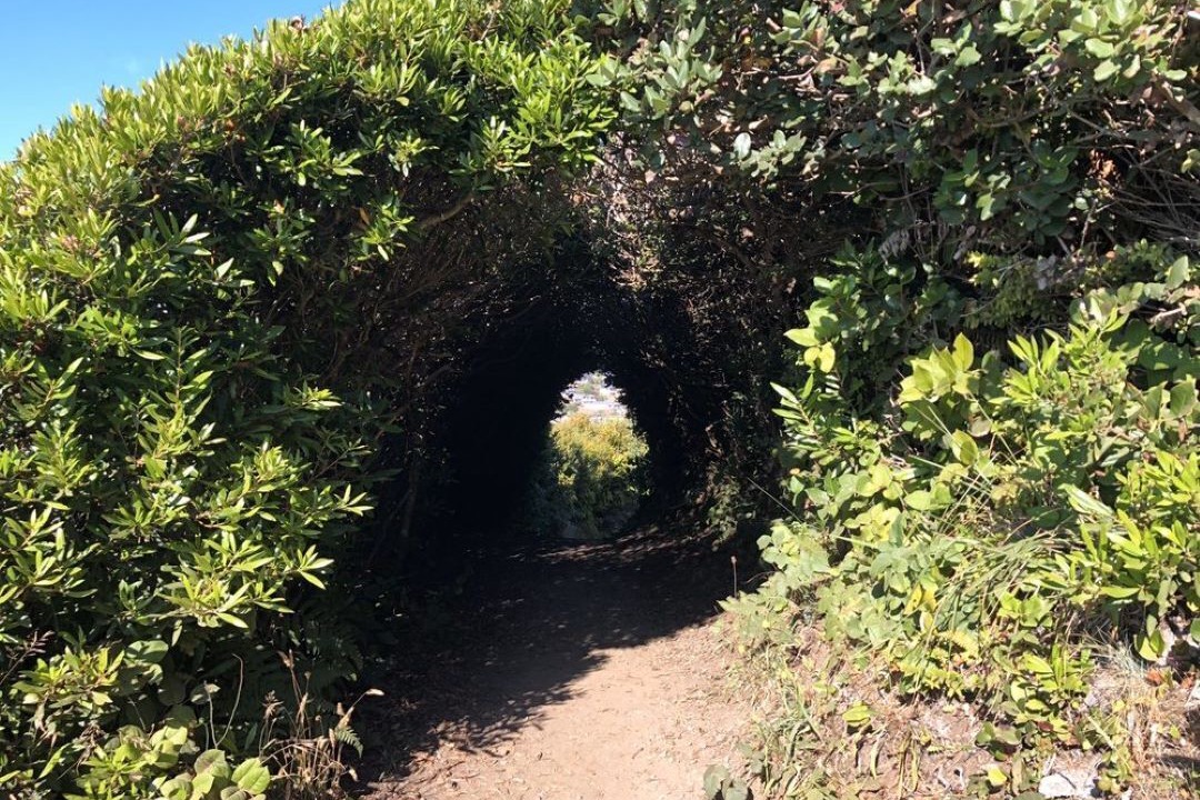 Photo of Outdoor in McKinleyville