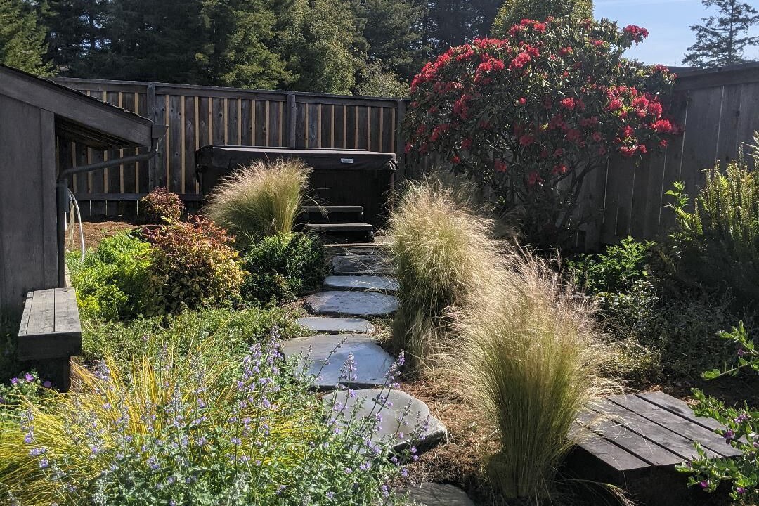 Photo of Outdoor in Sea Ranch