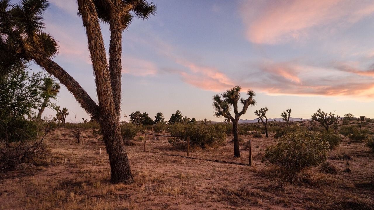Photo of Others in Yucca Valley