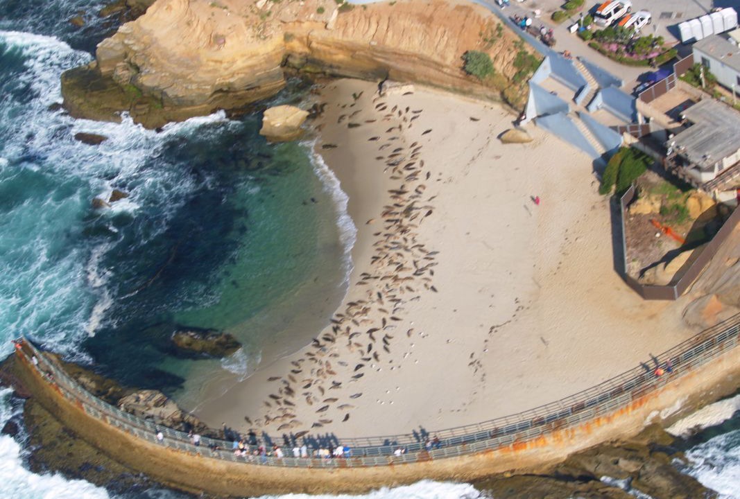 Photo of Others in Village of La Jolla