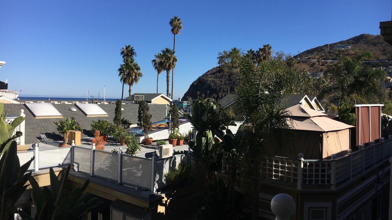 Photo of Others in Avalon