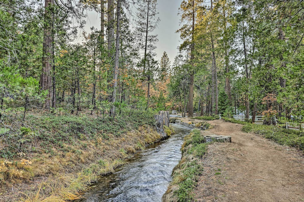 Photo of Outdoor in Twain Harte
