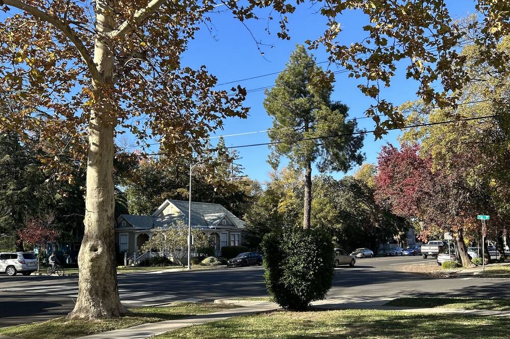 Photo of Outdoor in Central Davis