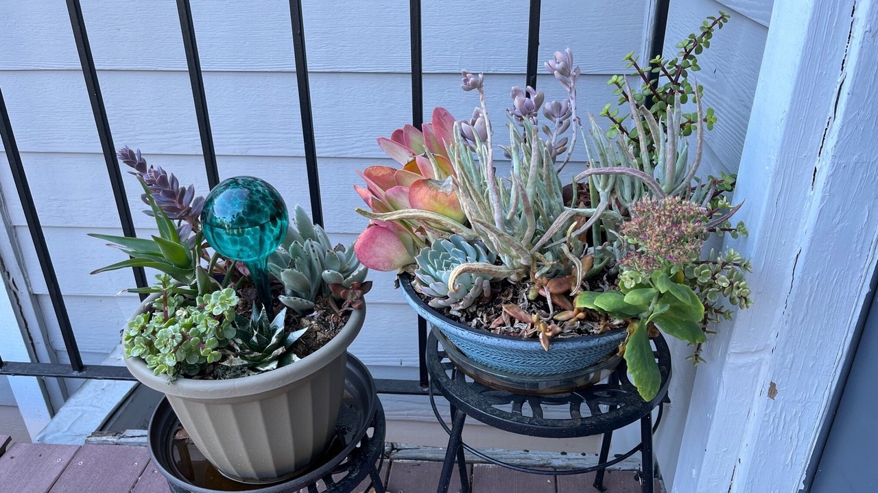 Photo of Outdoor in Rancho Cordova
