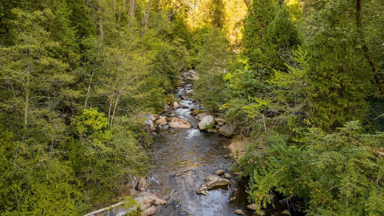 Photo of Others in Nevada City