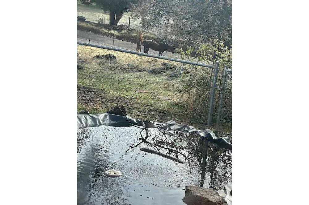 Photo of Outdoor in Squaw Valley