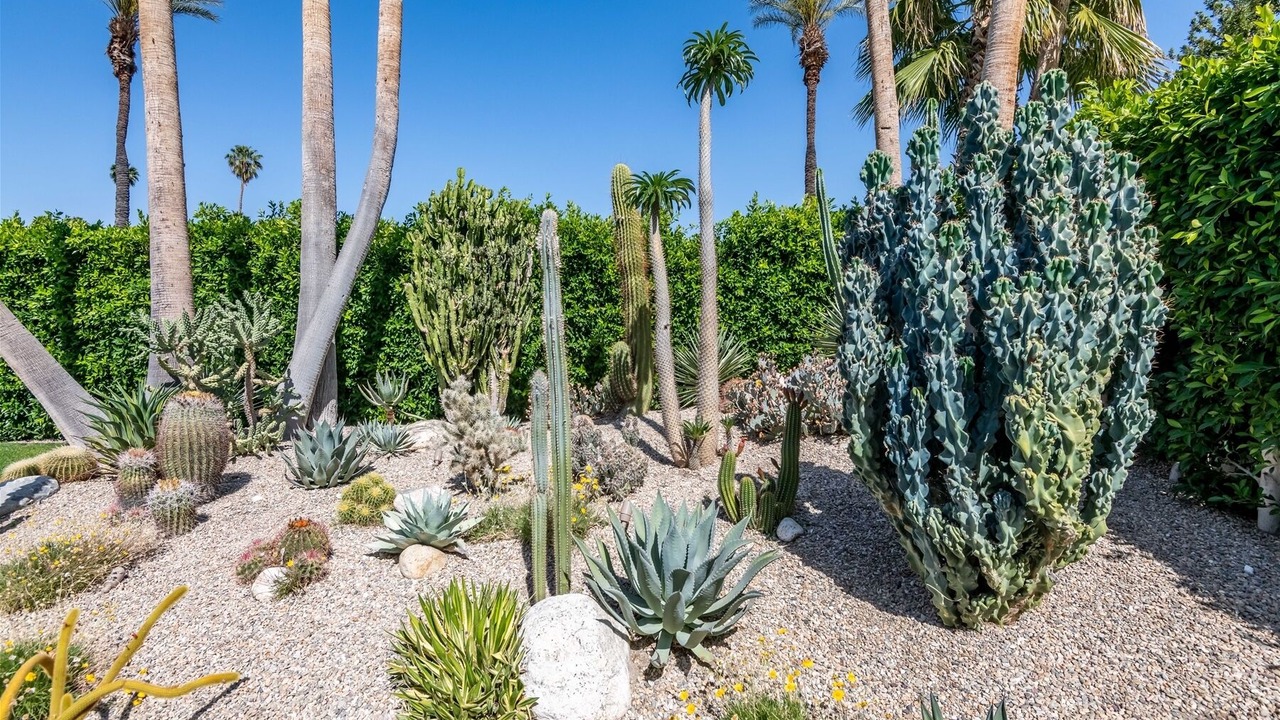 Photo of Outdoor in Indian Canyon