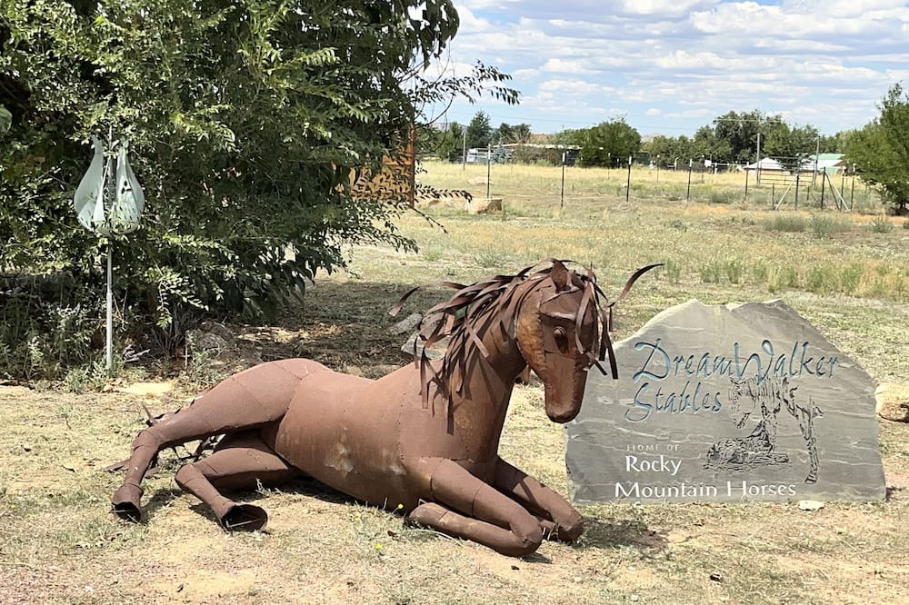 Photo of Others in Chino Valley